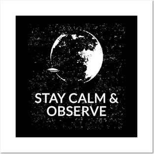 Stay calm and observe Posters and Art